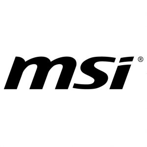 logo_msi